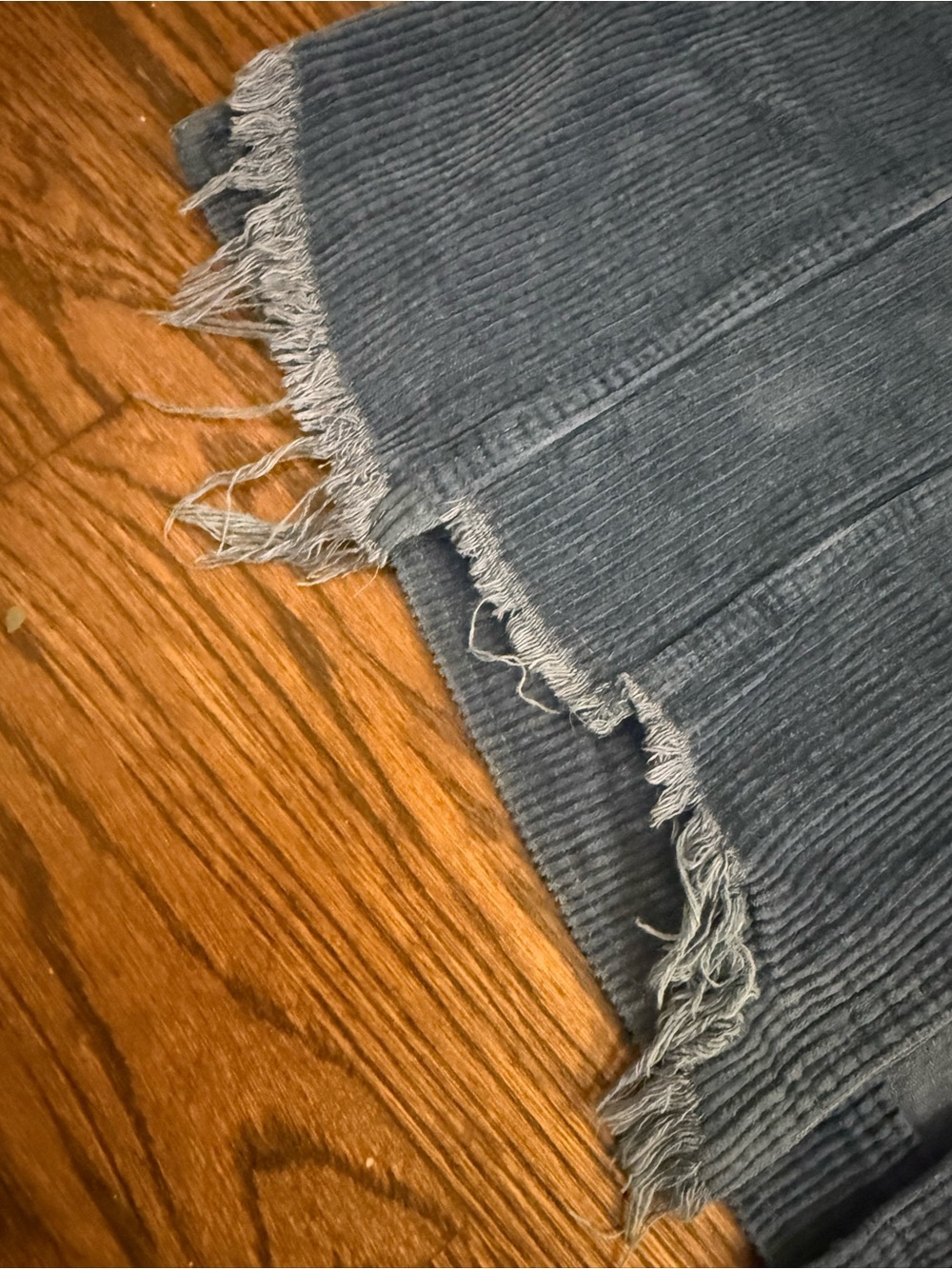 Blue Jacket - Picture 5 of 6